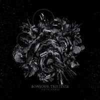 Bonjour Tristesse - Par un sourire
