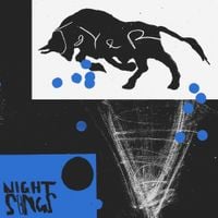 Joyer - Night Songs