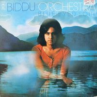 Biddu Orchestra - Blue Eyed Soul