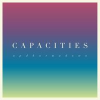 Up Dharma Down - Capacities