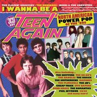 Various Artists - I Wanna Be A Teen Again: American Power Pop, 1980-1989