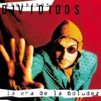 Divididos - La era de la boludez