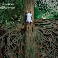 The Mars Volta - The Widow