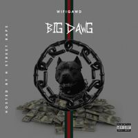 WiFiGawd - Big Dawg
