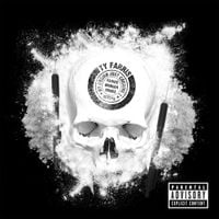Ty Farris - No Cosign Just Cocaine 2