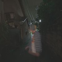guardin - backup