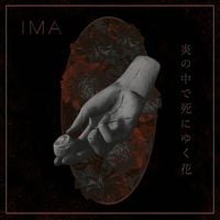 IMA - The Flowers Die in Burning Fire - 炎の中で死にゆく花