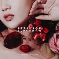 Seasons For Change - Petals of Tomorrow