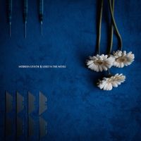 Modern Error - Lost in the Noise