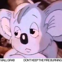 Mall Grab - Don't Keep The Fire Burning
