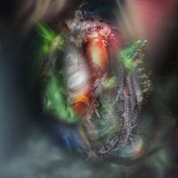 Lighght - Gore​-​Tex In The Club, Balenciaga Amongst The Shrubs