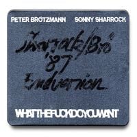 Peter Br&ouml;tzmann & Sonny Sharrock - Whatthefuckdoyouwant