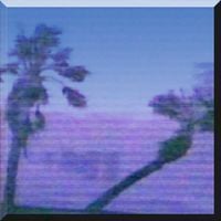 ASHITAKAアシタカ - t r o p i c a l u p d a t e