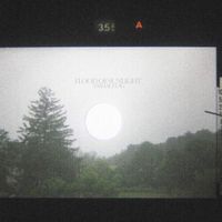 Animal Flag - Flood of Sunlight