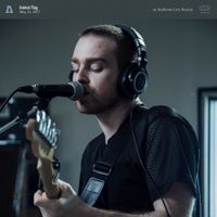 Animal Flag - Animal Flag on Audiotree Live