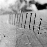 Blind Seagull - nails