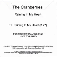 The Cranberries - Raining In My Heart