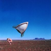 The Cranberries - Bury the Hatchet