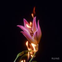 Ginevra - Ruins