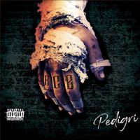 Arce - Pedigr&iacute;
