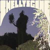 Surface To Air Missive - Shelly's Gone