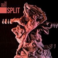 The Present Moment - Split