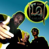 DJ Nelson - The Flow