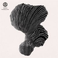 Rejoicer - Pre Memory Circle