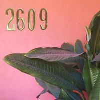 K.A.A.N. & Bleverly Hills - 2609
