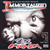 3X Krazy - Immortalized