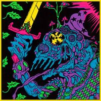 King Gizzard & The Lizard Wizard - Live in Adelaide '19