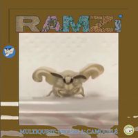 RAMZi - Multiquest Niveau 1: Camoufl&eacute;