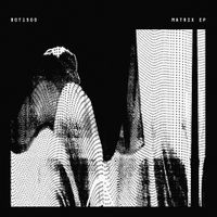 Bot1500 - Matrix EP