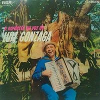 Luiz Gonzaga - A Hist&oacute;ria do Nordeste Na Voz de Luiz Gonzaga