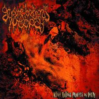 Gruesome Bodyparts Autopsy - Active Rotting Process In Decay