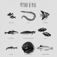 Mem&oacute;ria De Peixe - Mem&oacute;ria de Peixe
