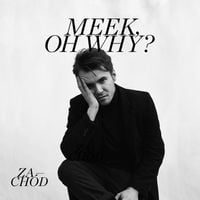 Meek, Oh Why? - Zach&oacute;d