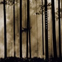 Deadbeat - New World Observer