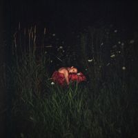 Forever - Close to the Flame