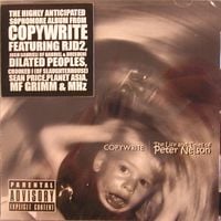 Copywrite - The Life And Times Of Peter Nelson