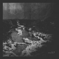 Various Artists - Voiceless Y