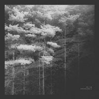 Various Artists - Voiceless Z