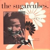 The Sugarcubes - Birthday