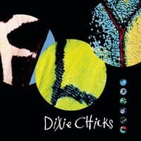 The Chicks - Fly