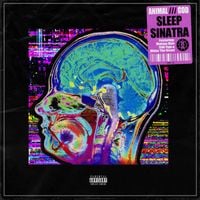 Sleep Sinatra - ANIMAL​/​/​/​GOD