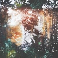 Sylvaine & Unreqvited - Time Without End