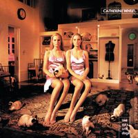 Catherine Wheel - Like Cats and Dogs