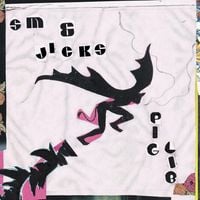 Stephen Malkmus and the Jicks - Pig Lib