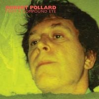 Robert Pollard - From a Compound Eye