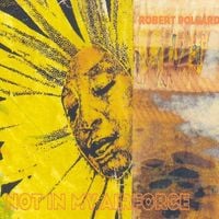 Robert Pollard - Not in My Airforce